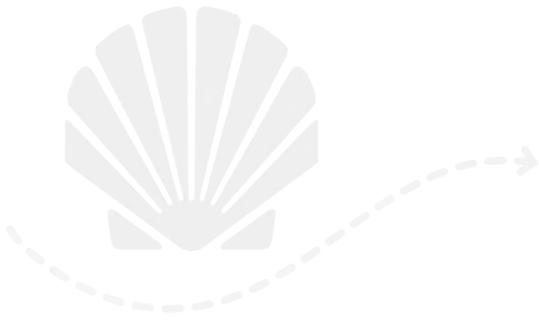 conchaconlinea-1